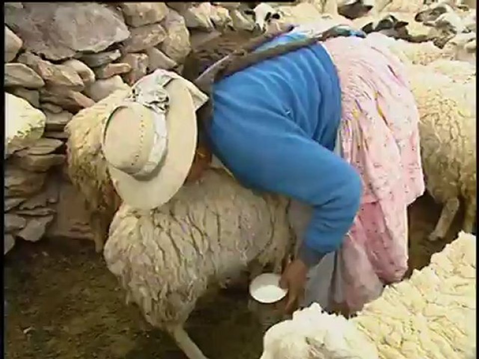 Bolivie : un espoir de développement