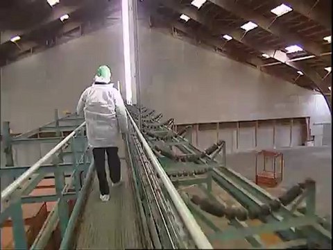 Les farines animales feront-elles de vieux os?