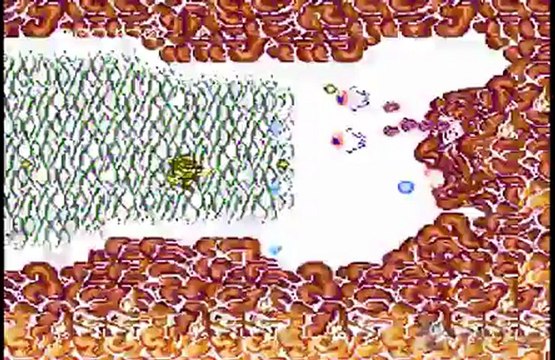 Abadox : Les trois premiers niveaux