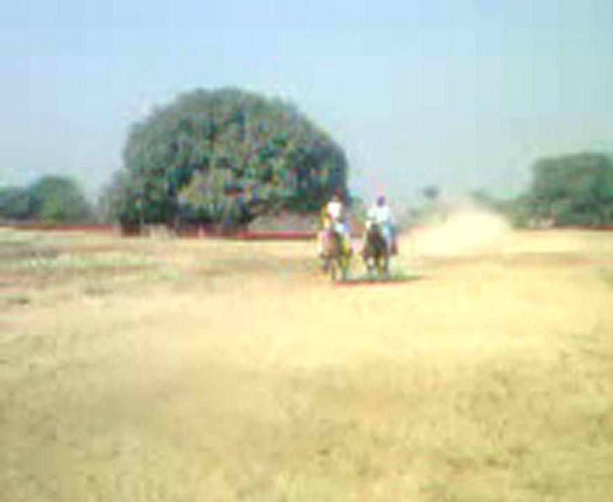 Sindh Horse Race Jhan Mori Hyderabad Sindh