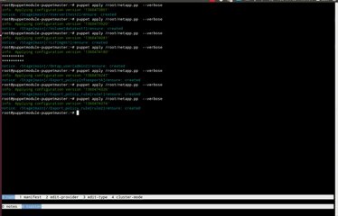 Demo of the Puppet Provider ONTAP-SSH for NetApp Cluster-Mode