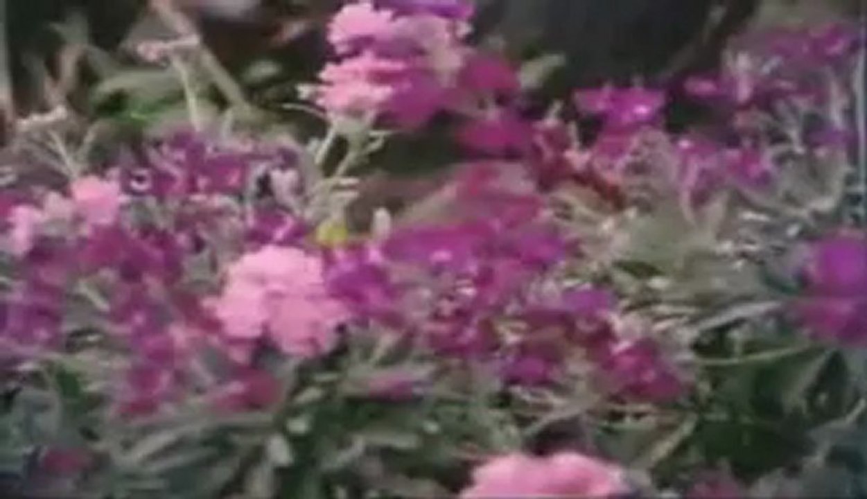 Burhan Cacan - Oda Beni Remix By Isyankar365