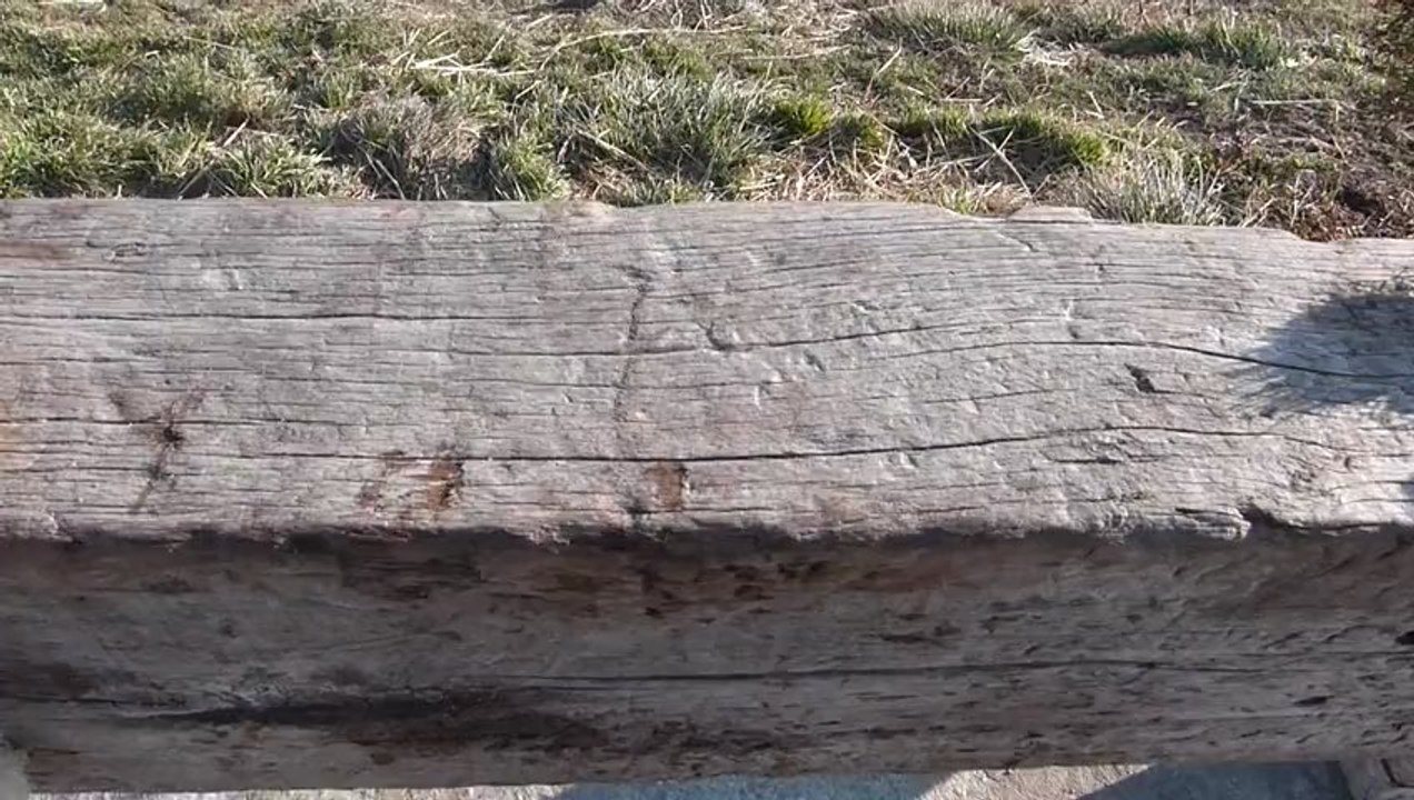 cheval