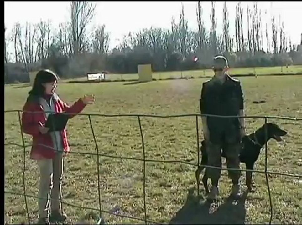 Daicko du Bois de Liers samatan 2013 IPO partie C