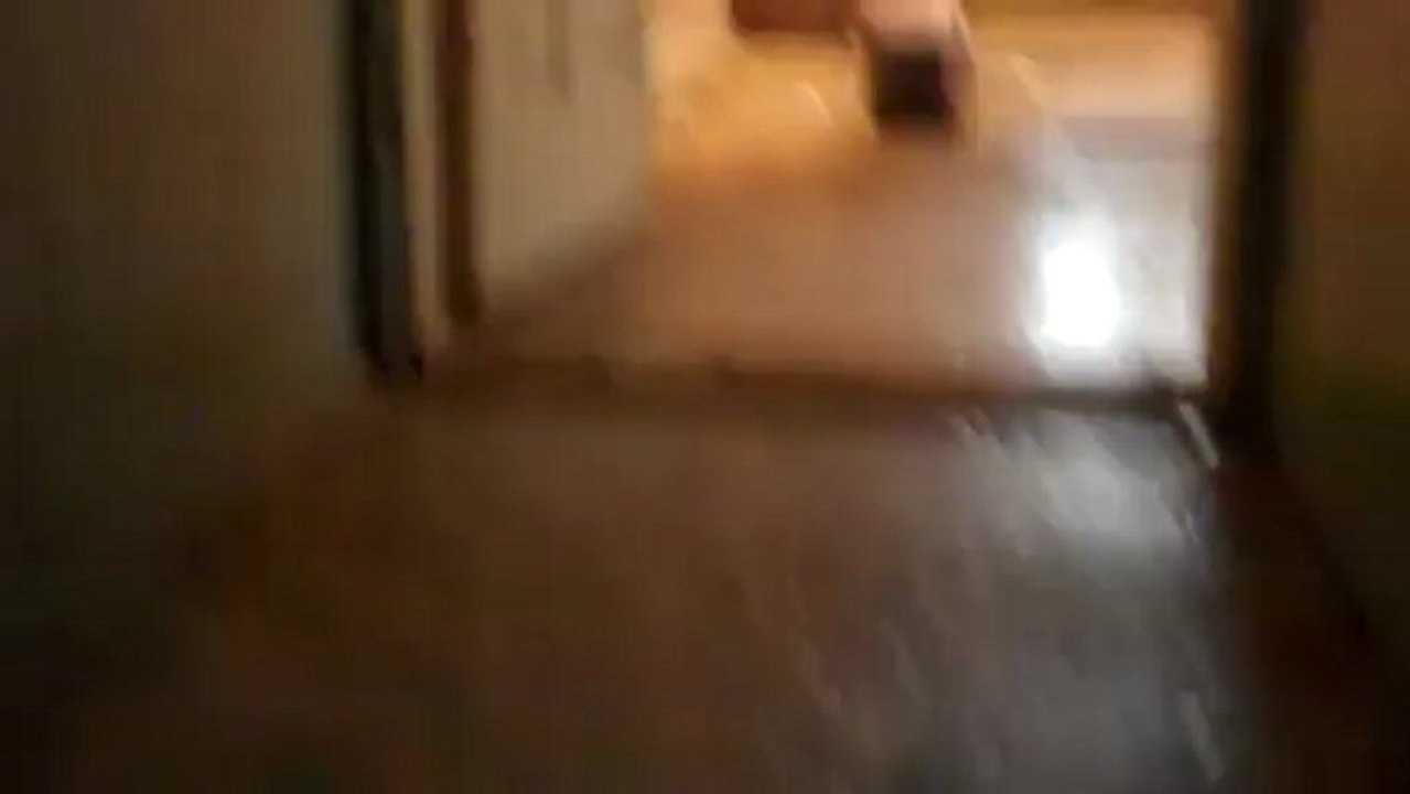 Cheap Houses for Sale York PA Roosevelt Avenue