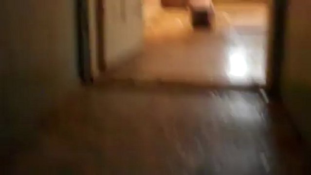 Cheap Houses for Sale York PA Roosevelt Avenue