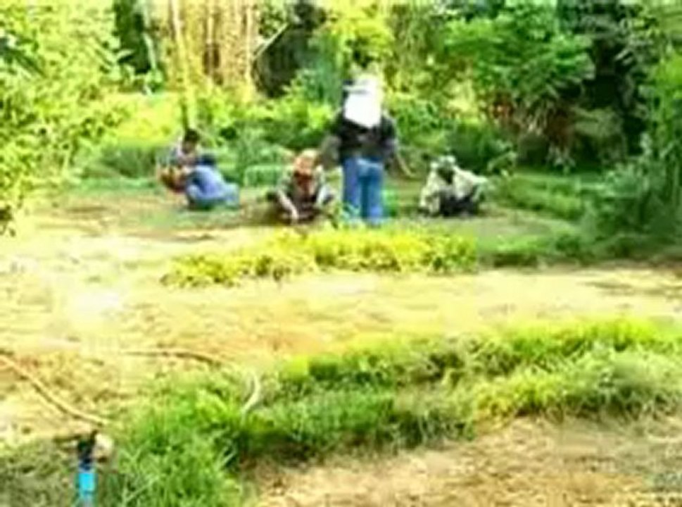 Rayong_VTR_2.wmv