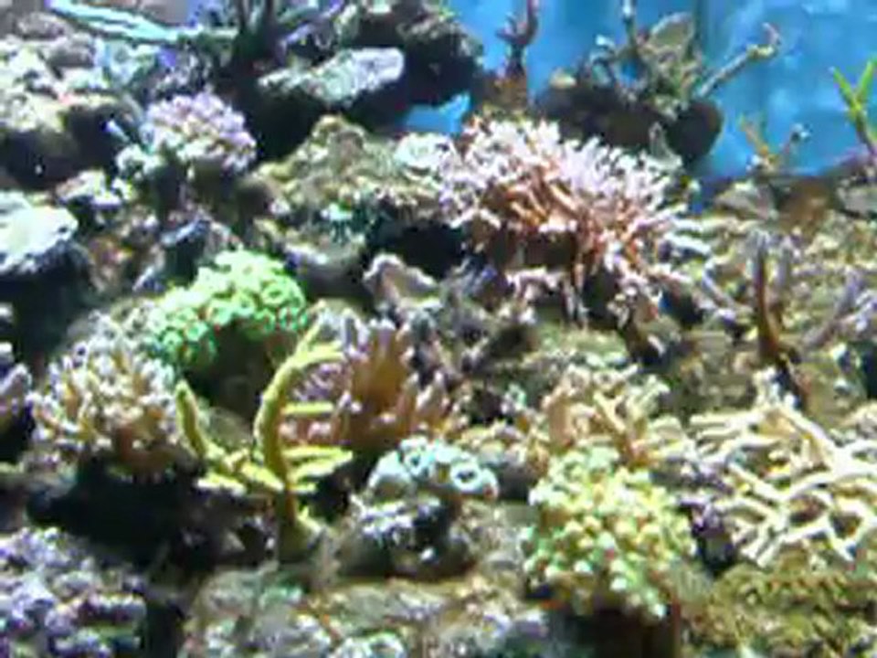 DSCF4899