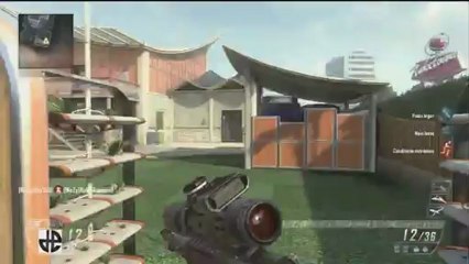 Vidéo détente et rigolade sur black ops II en Privé avec RIRI