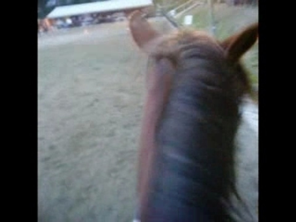 orion et moi ♥