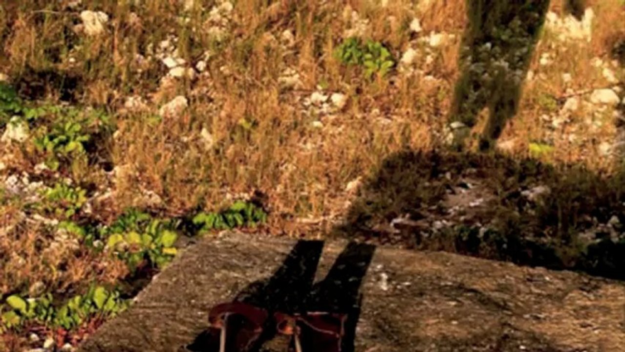 Avec ou sans mes savates