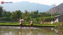 Une nouvelle saison de riz - Voyage au Vietnam, Voyage Vietnam, Trekking au Vietnam, Trek au Vietnam