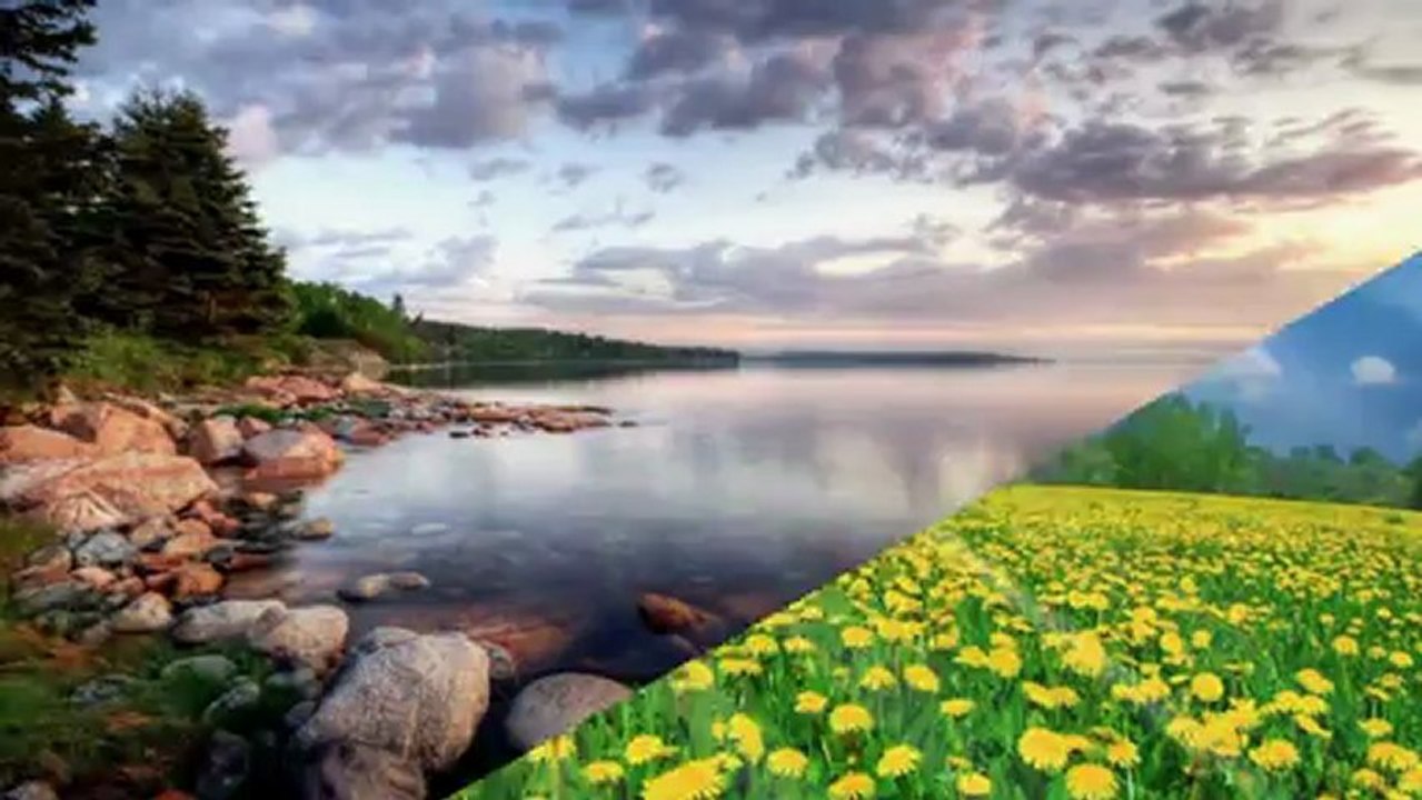 ÖZLEM ÖZDİL-SÜRGÜN