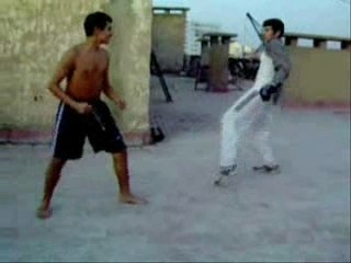 taekwondo des combat a voir absolument !