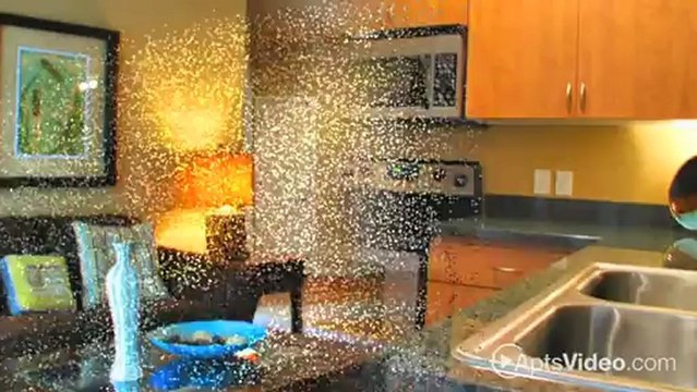 Bolero Homes Apartments in Phoenix, AZ - ForRent.com