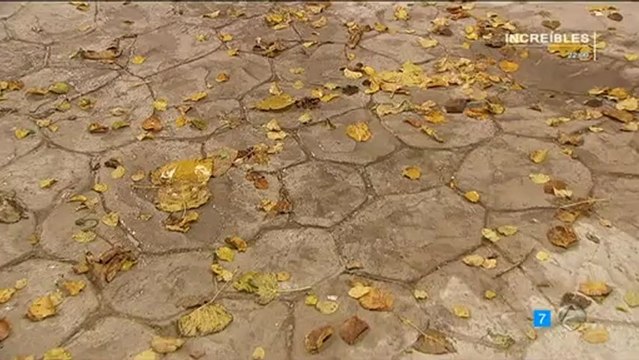 TRISTAN EMILIA SACAREMOS A PADRE DE ALLI ESDPV 22-02-2013