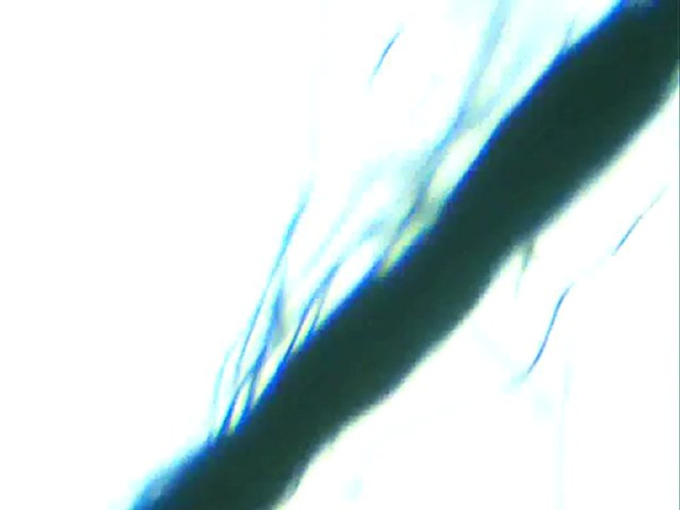 Interessante mikroskopie -  interesting microscopy