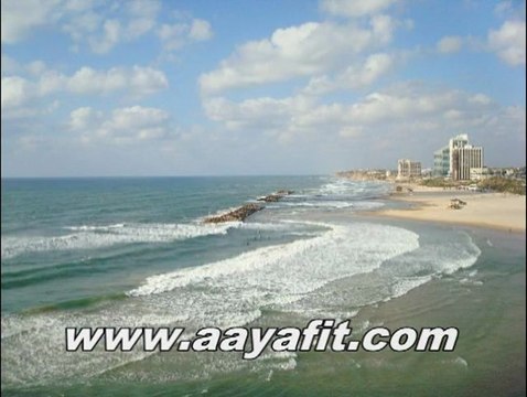 Passover apartment rentals in Israel 972-544421444 (10 minutes from Tel Aviv)