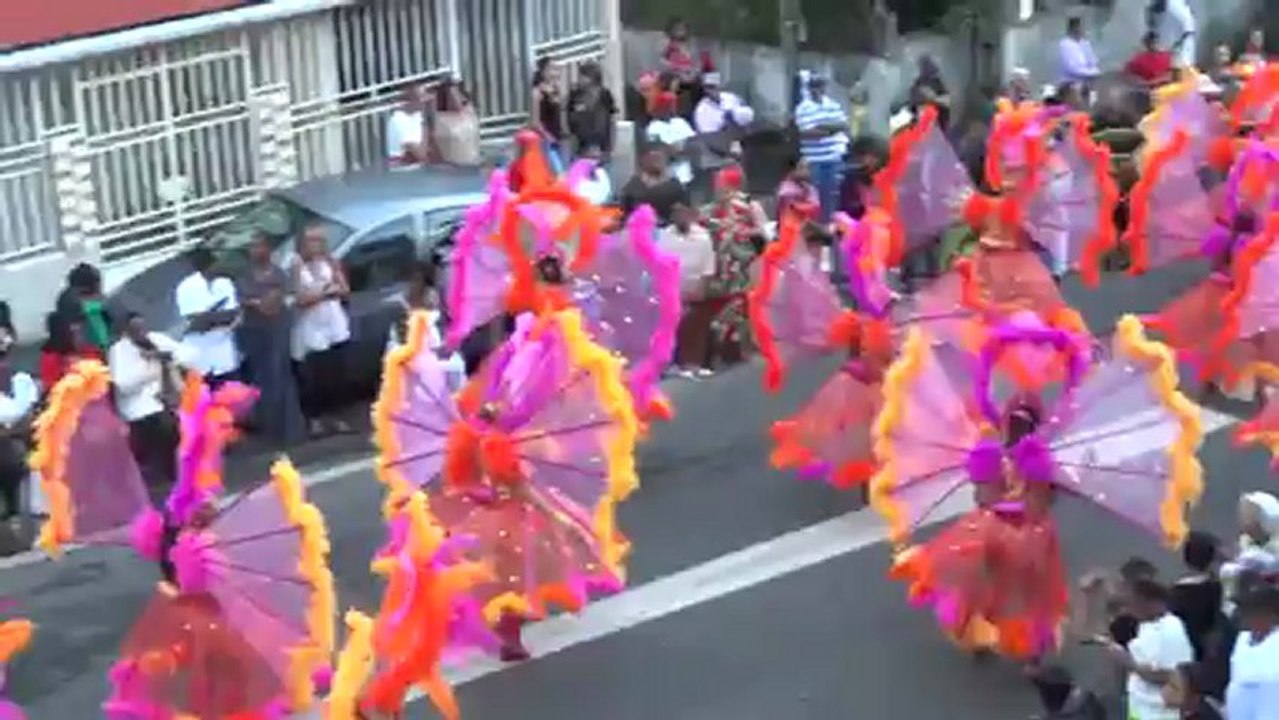 carnaval - vidim 2013