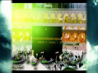 ya Mahdi (aj)  ya Hussain (as) !