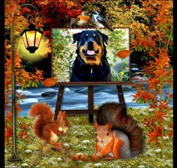 Princesse, Joyeux Anniversaire