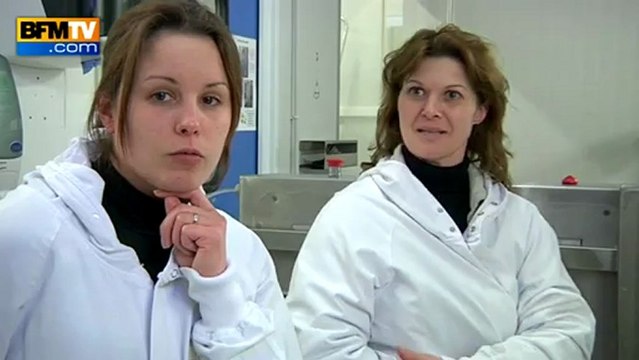 Viande de cheval : les dommages collatéraux de Spanghero - 20/02