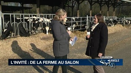 Grand Angle - Mardi 19 février