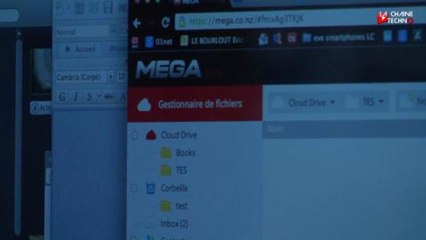 Pourquoi le pari de Kim Dotcom n'est pas gagné -23/01