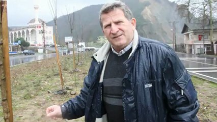 KARAYOLALARININ DİKTİĞİ FİDANLAR YIKILIYOR