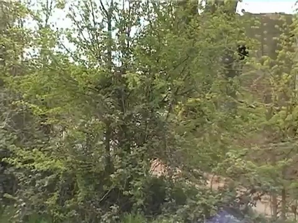 Rallye de la Lys 2004 2/2