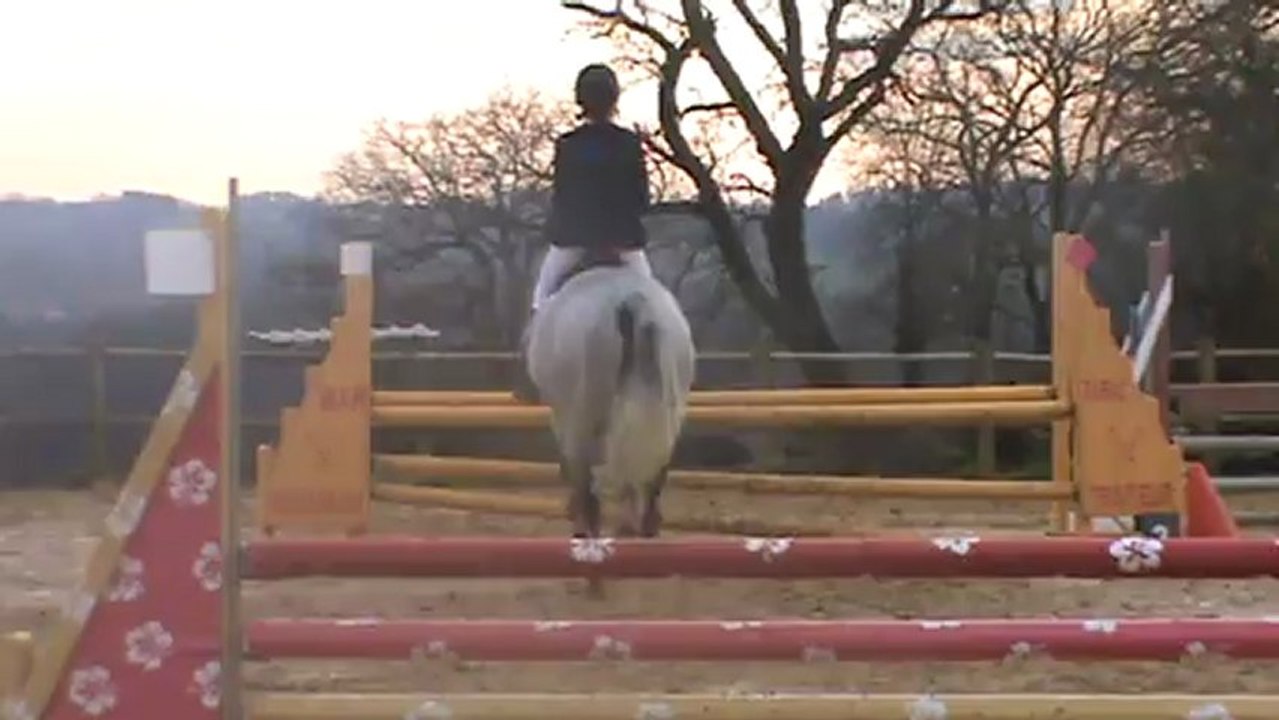 club 1 au domaine équestre du treuil le 2 mars 2013