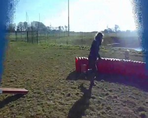 Tosca agility 18.02.13