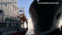 Japanese whaling vessel 'rams' Sea Shepherd activist ships