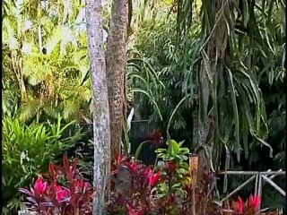 Naples Zoo at Caribbean Gardens Part 1