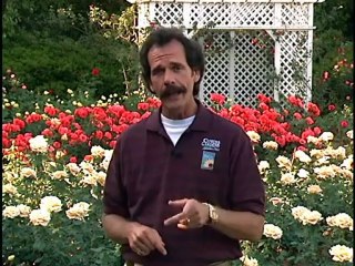 Bellingrath Themed Gardens Pt4