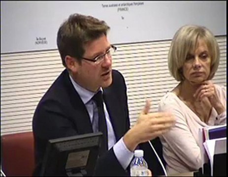 Commission des affaires étrangères : audition de M. Pascal Canfin, ministre chargé du développement