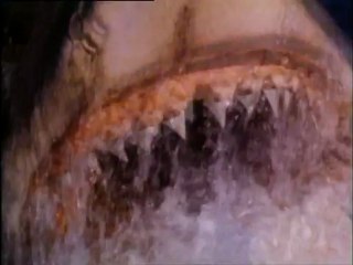 JAWS THE REVENGE Trailer