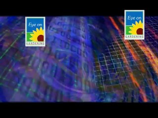 Sarasota Jungle Gardens Part 4