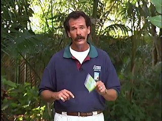 Sarasota Jungle Gardens Part 1