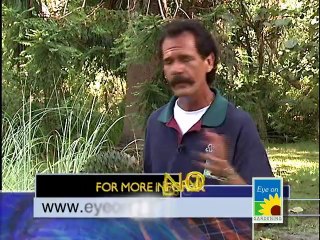 Sarasota Jungle Gardens Part 2