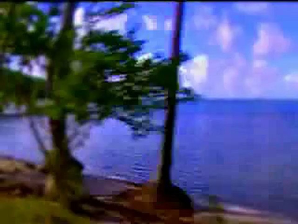 Kur-an-ı Kerim Türkçe Meali 059hasr Süresi