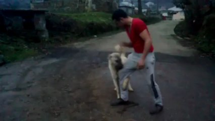 OĞLUM BAK GİT ....MARDİN KANGAL..