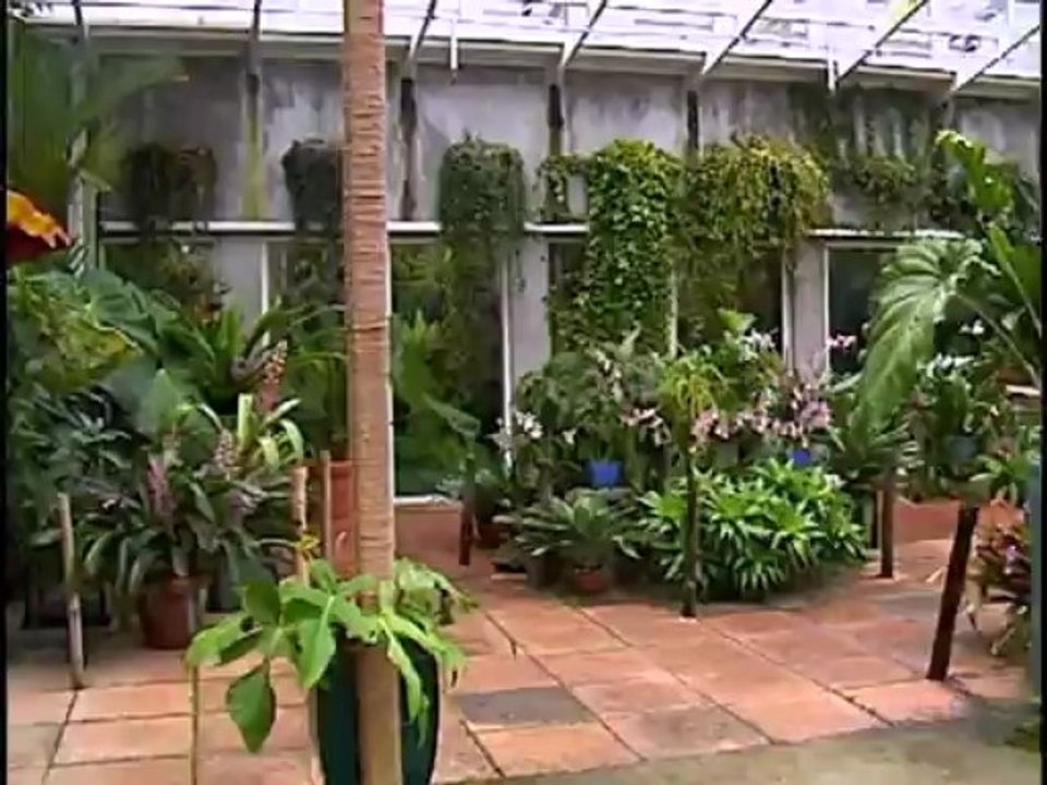 The Best of Eye on Gardening Part 2