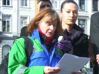 Speeches in front of the European Parliament - February 20th, 2013
