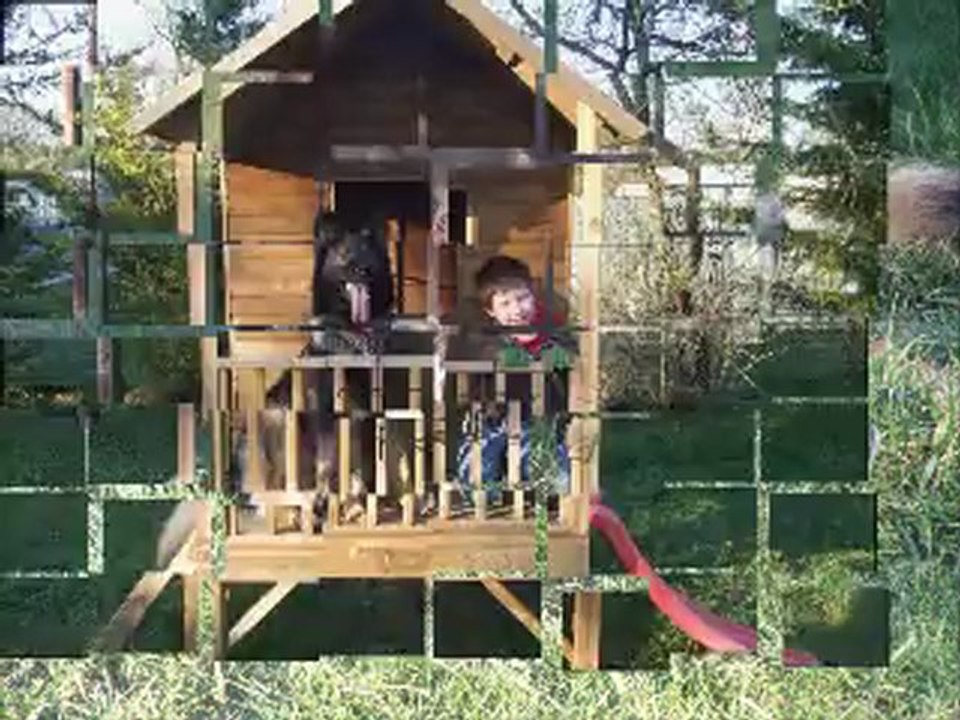 FALCON du Domaine de Kilorff Février 2013