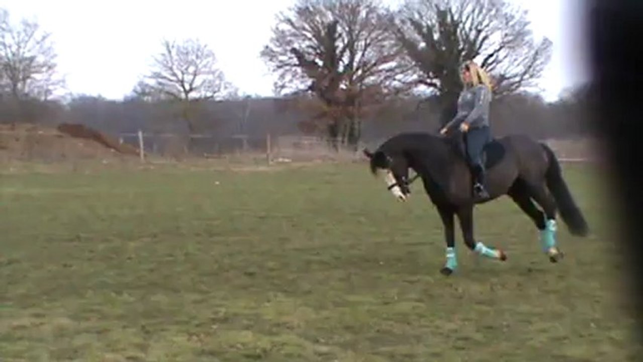 Séance sur le plat.6