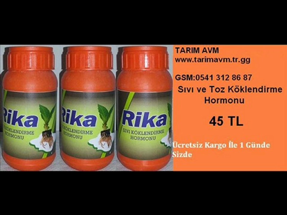 Bitki -Köklendirme,Çelik-Köklendirme-Hormonu.Köklendirme-Hormonu