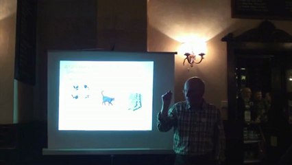 Brian Quinn - Superstition: The Odd Delusion