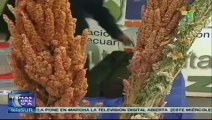 Bolivia, principal productor de la quinua