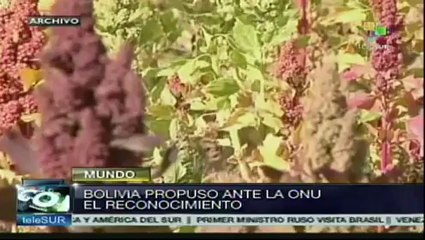 Hoy se oficializa año internacional de la Quinua